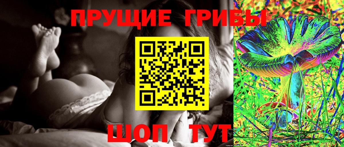 Галлюциногенные грибы Psilocybe  Вход с VPN  Псилоцибиновые грибы мицелий  Сочи 