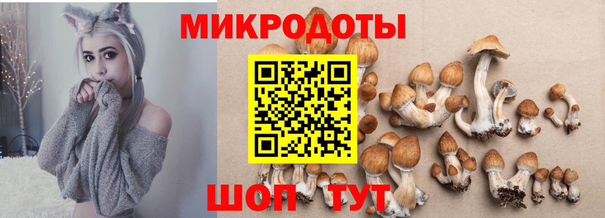 Галлюциногенные грибы ЛСД Сочи